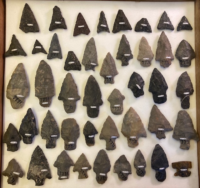 Collection record photo of 43 small stone projectile points with number labels.