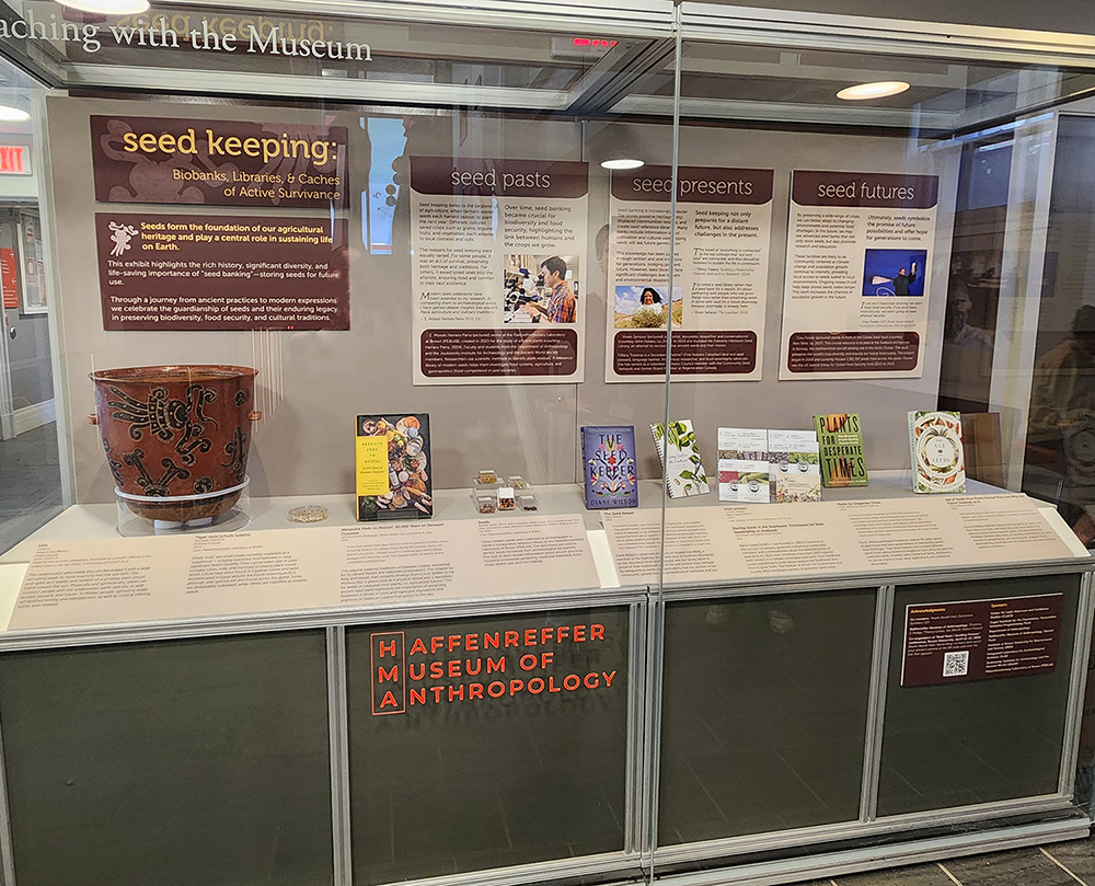 exhibit case with objects on display