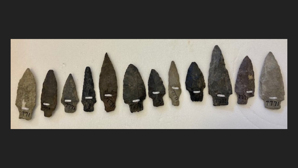 Collection of 12 stone projectile points laid in a row with labels. 
