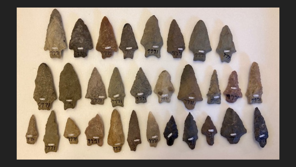 Collection of 29 small stone projectile points laid out in three rows with labels. 