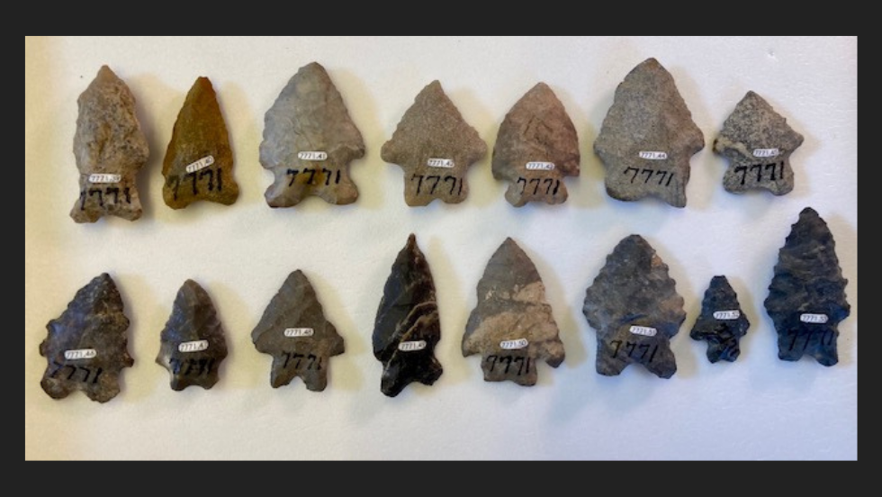 Collection of 15 small stone projectile points laid out in two rows with labels. 