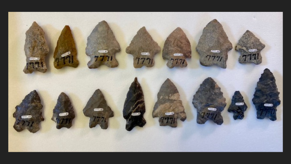 Collection of 15 small stone projectile points laid out in two rows with labels.