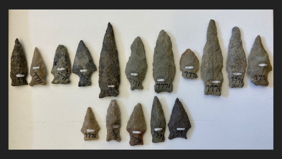 Collection of 16 small stone projectile points laid out in two rows with labels. 